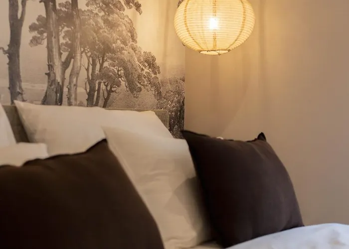 Velut Boket * Dubrovnik