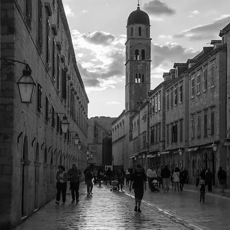 Velut Boket Dubrovnik